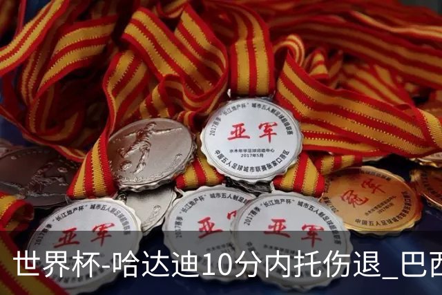 世界杯-哈达迪10分内托伤退 巴西大胜伊朗41分