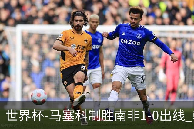 世界杯-马塞科制胜南非1-0出线 韩国积3分获小组第三待定